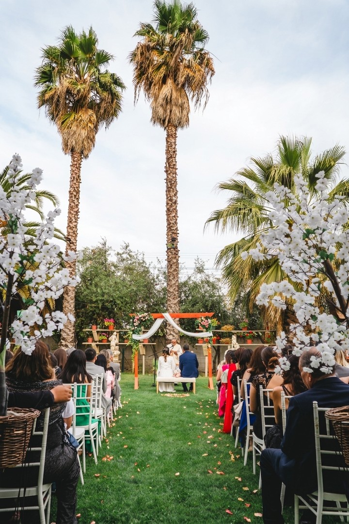 Bodas